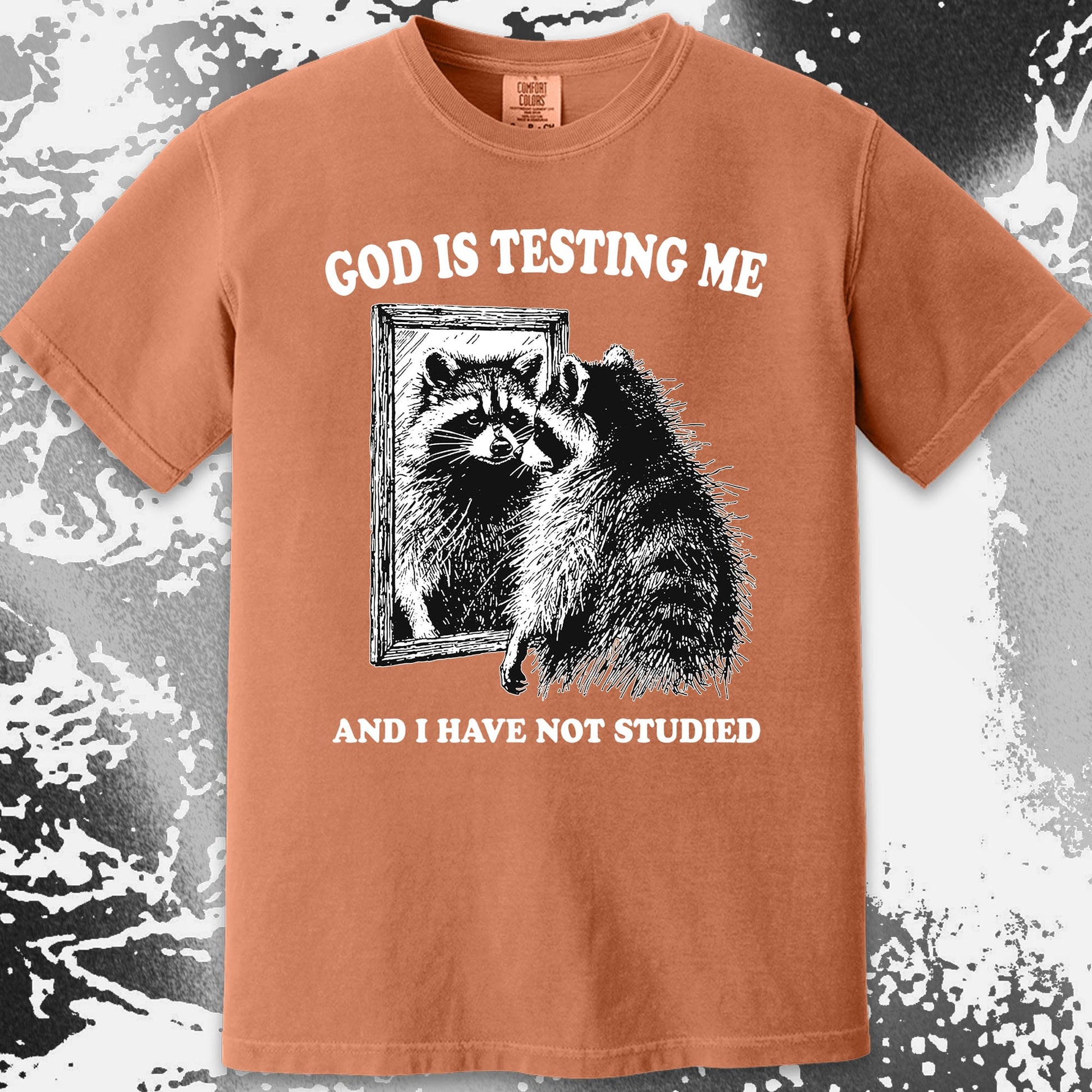 God Is Testing Me And I Have Not Studied Shirt (view 14)