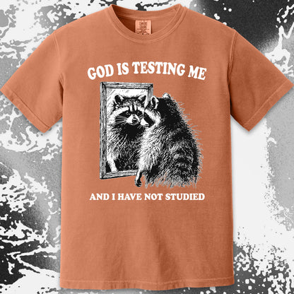 God Is Testing Me And I Have Not Studied Shirt (view 14)