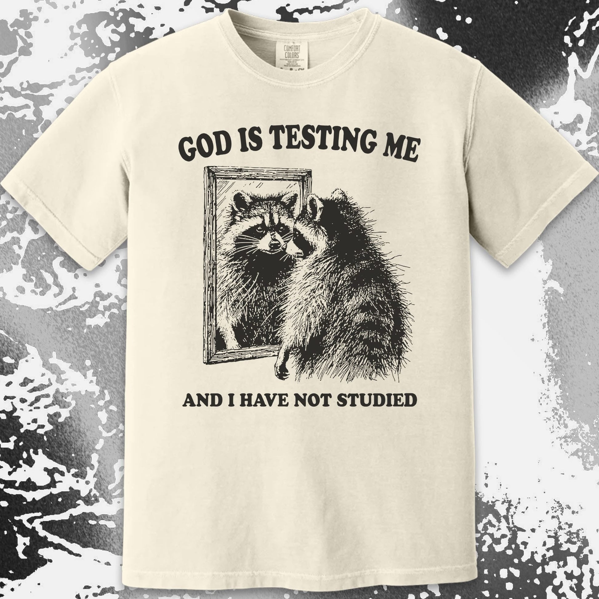God Is Testing Me And I Have Not Studied Shirt (view 15)