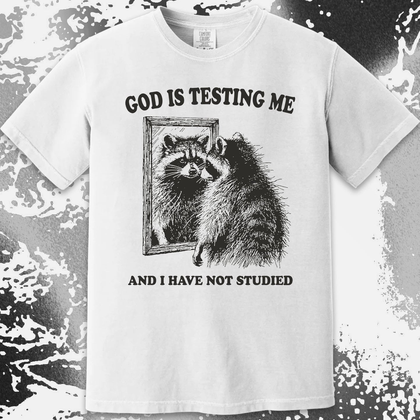 God Is Testing Me And I Have Not Studied Shirt (view 16)