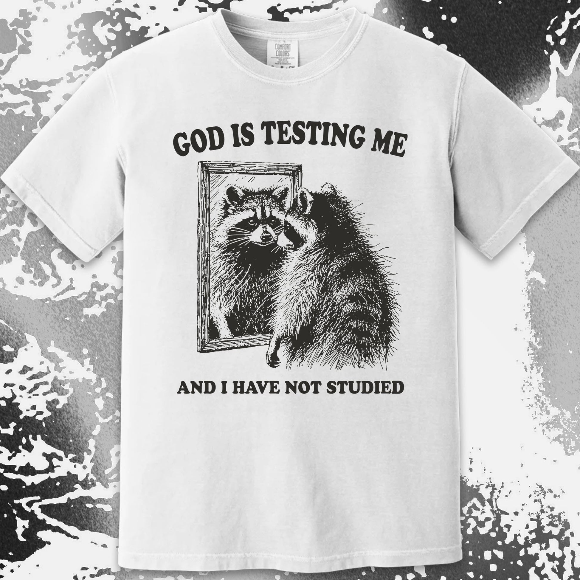 God Is Testing Me And I Have Not Studied Shirt (view 16)