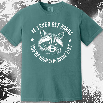 Raccoon If I Ever Get Rabies You're High On My Bitin List Shirt, funny meme tee gift (view 9)