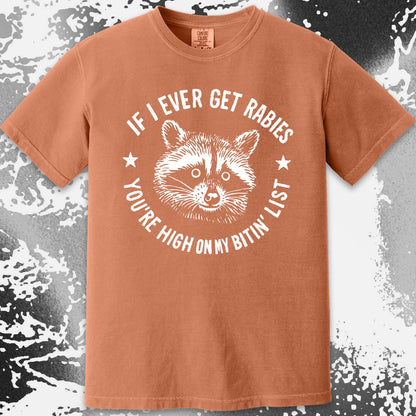 Raccoon If I Ever Get Rabies You're High On My Bitin List Shirt, funny meme tee gift (view 12)