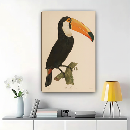Toucan on Branch Wall Art - Vintage Botanical Illustration Canvas Print