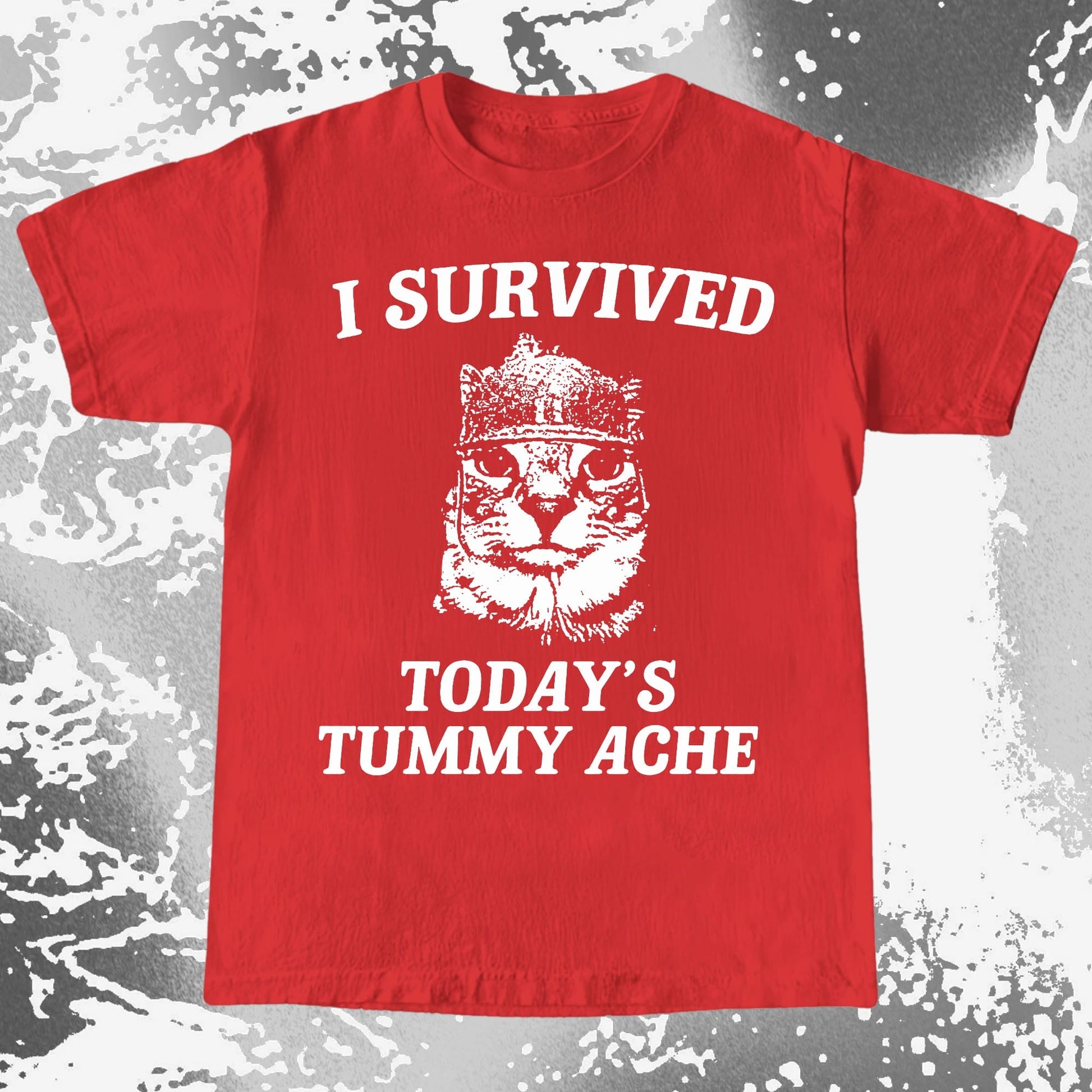 I Survived Today's Tummy Ache Cat Shirt (view 8)