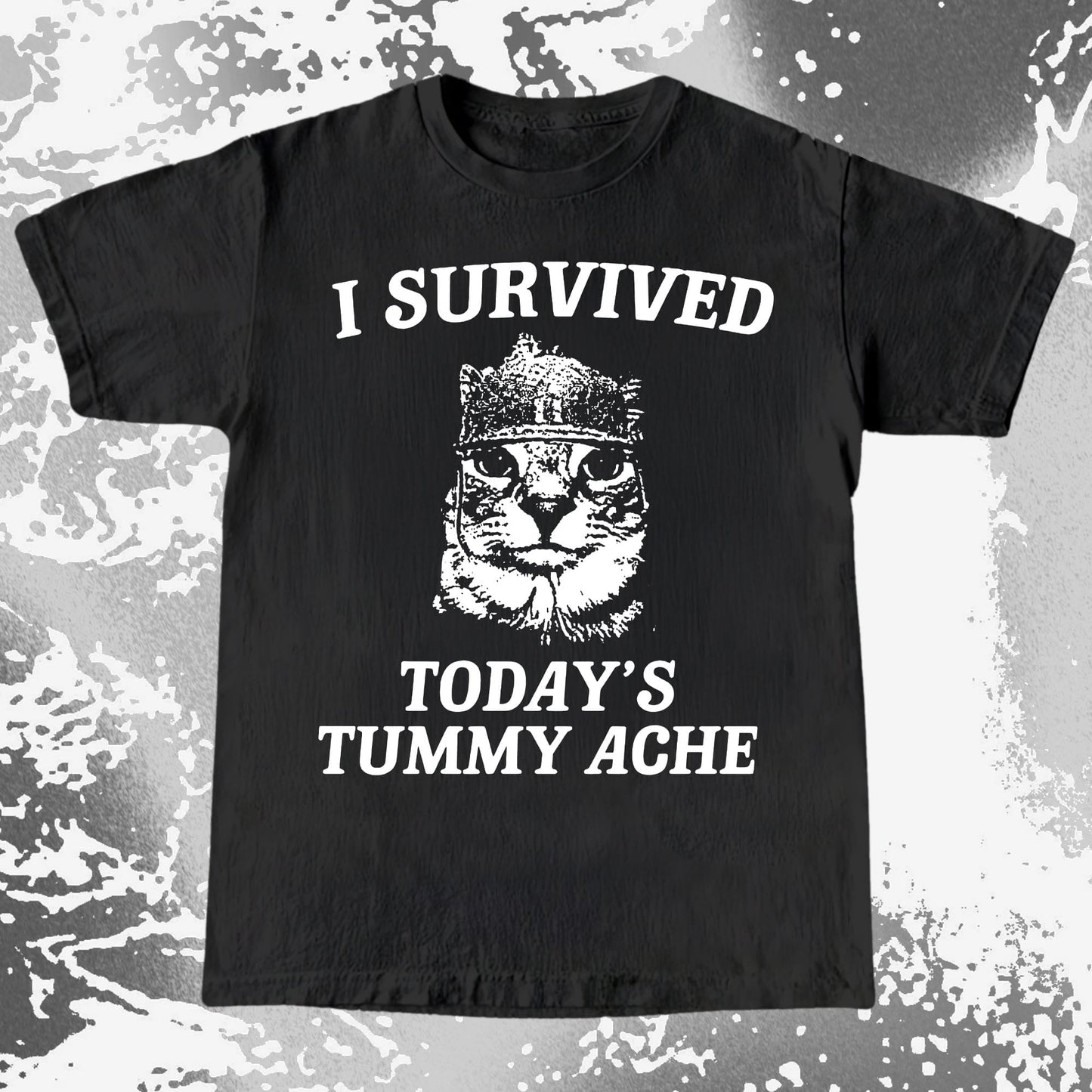 I Survived Today's Tummy Ache Cat Shirt (view 2)