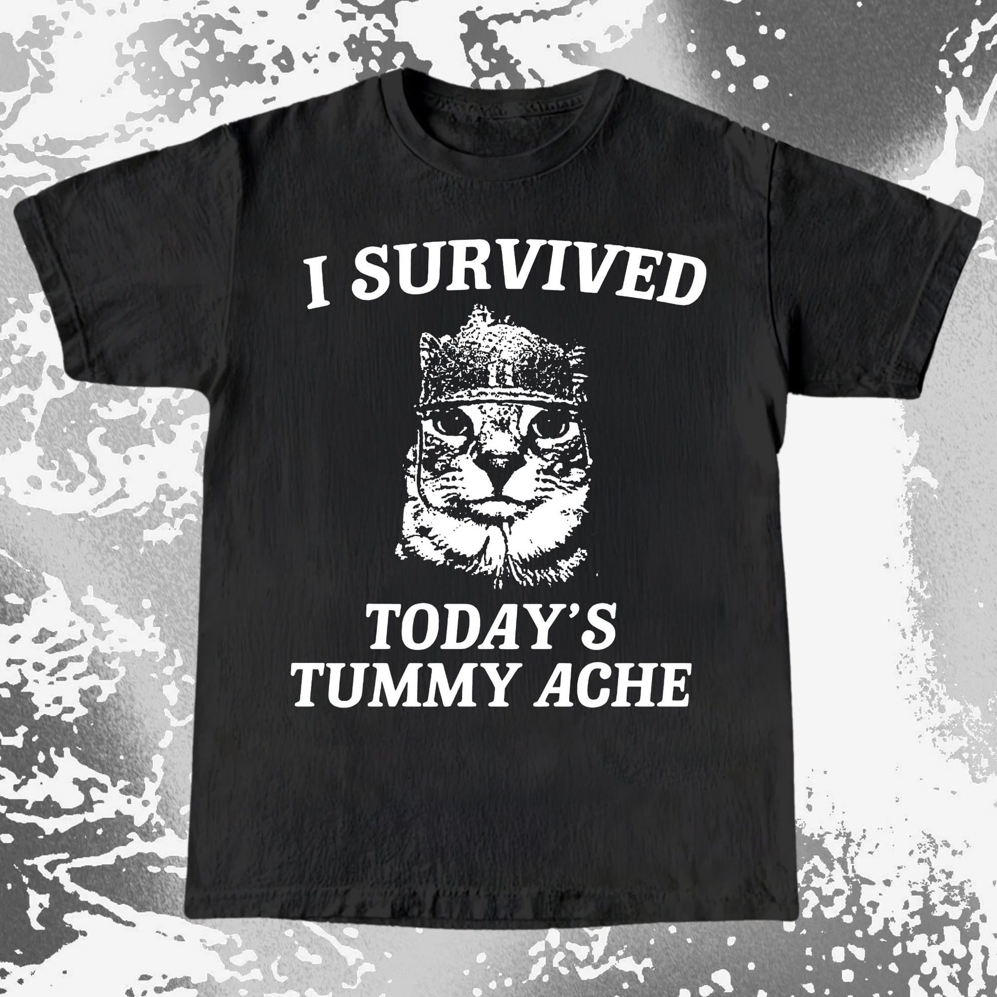 I Survived Today's Tummy Ache Cat Shirt (view 2)