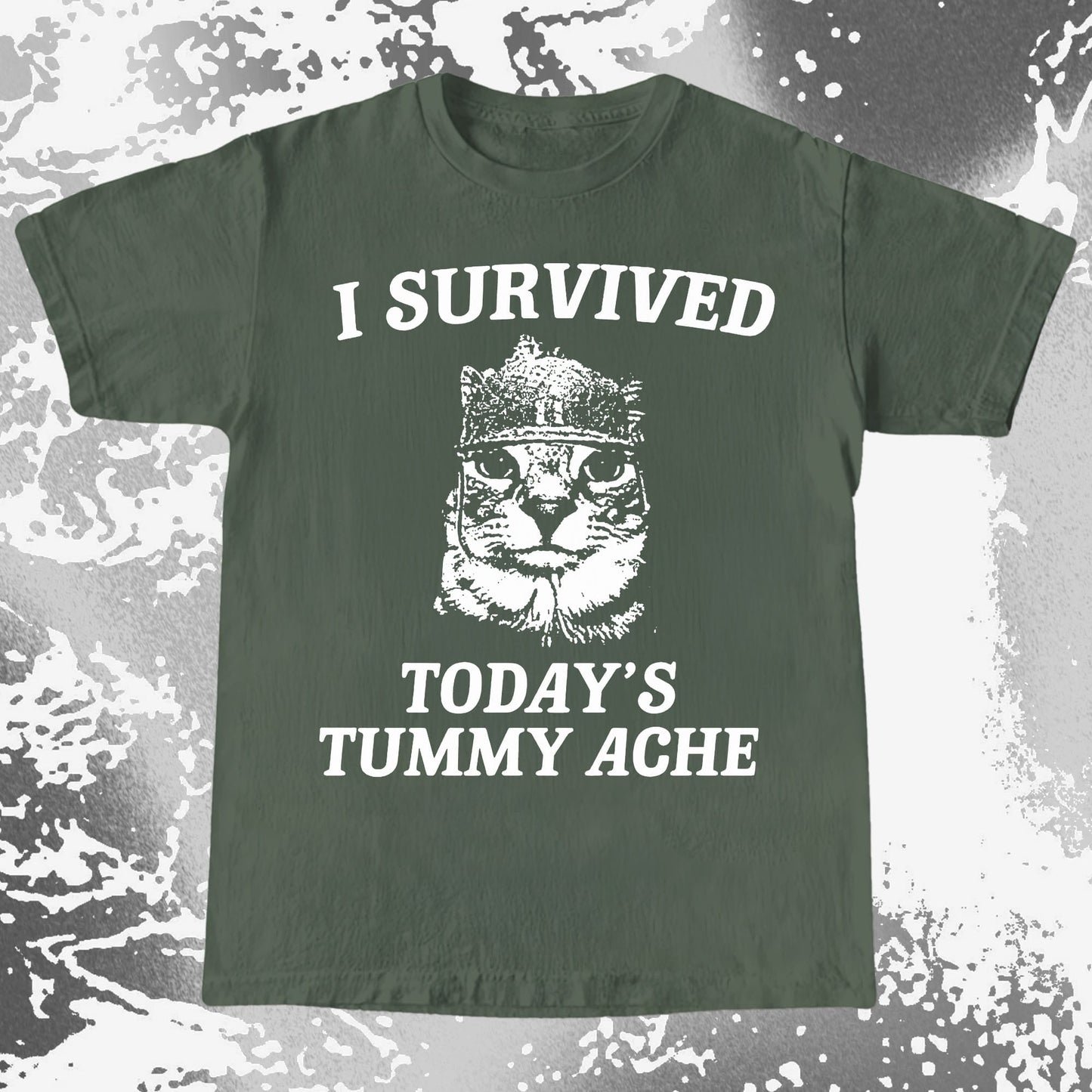 I Survived Today's Tummy Ache Cat Shirt (view 6)