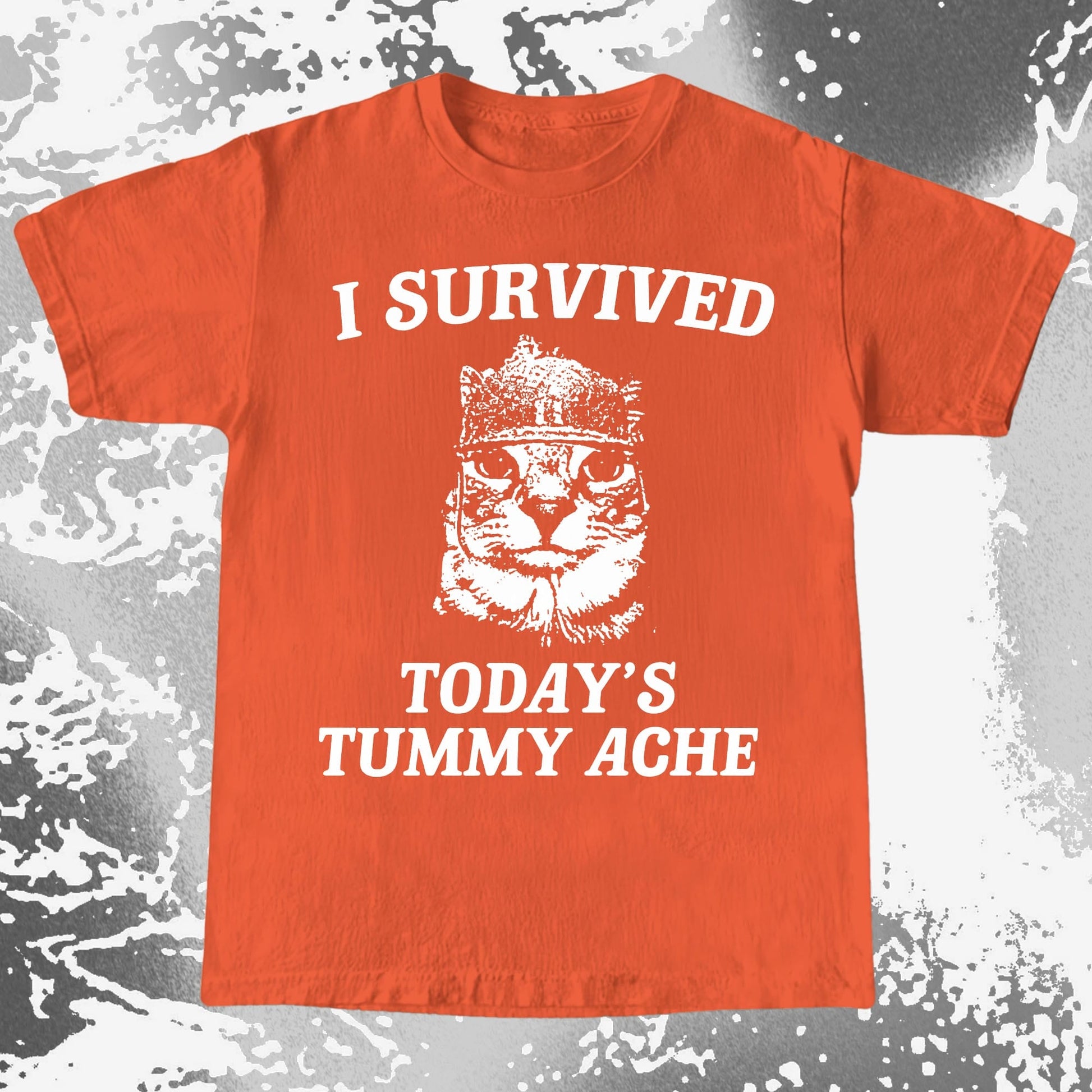 I Survived Today's Tummy Ache Cat Shirt (view 5)