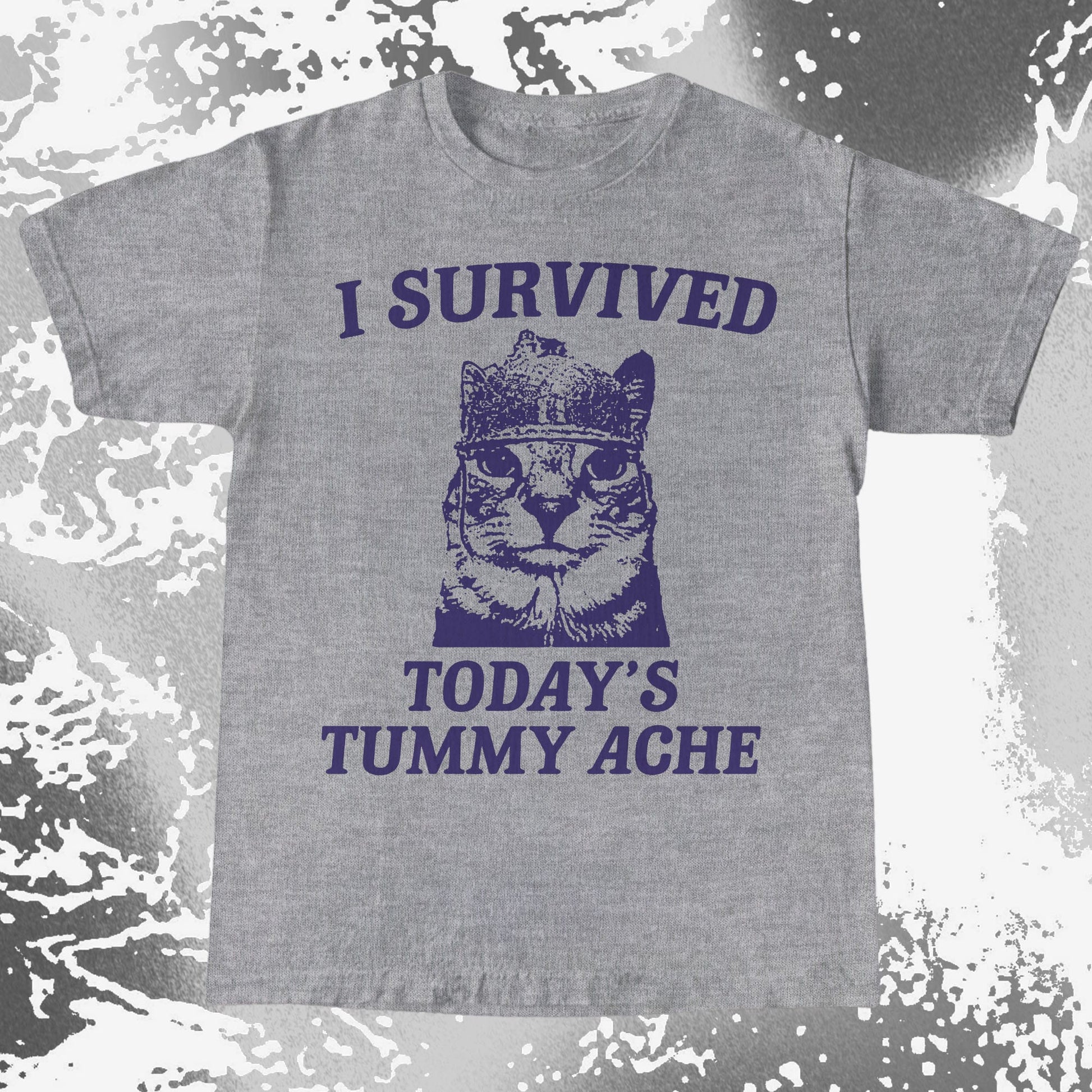 I Survived Today's Tummy Ache Cat Shirt (view 4)