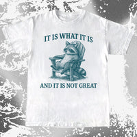 Raccoon It Is What It Is Not Great Shirt, funny meme tee gift