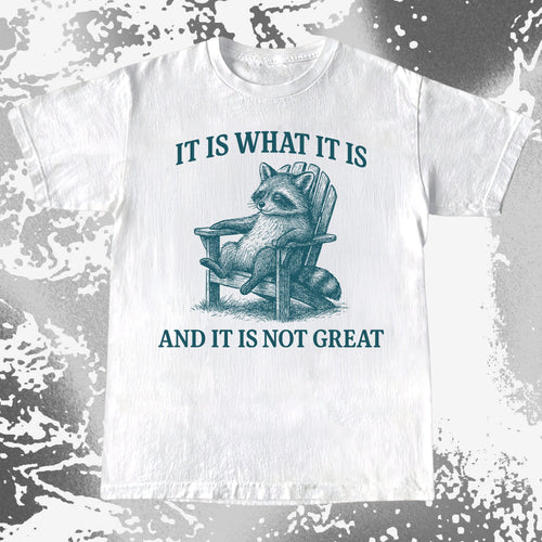 Raccoon It Is What It Is Not Great Shirt, funny meme tee gift