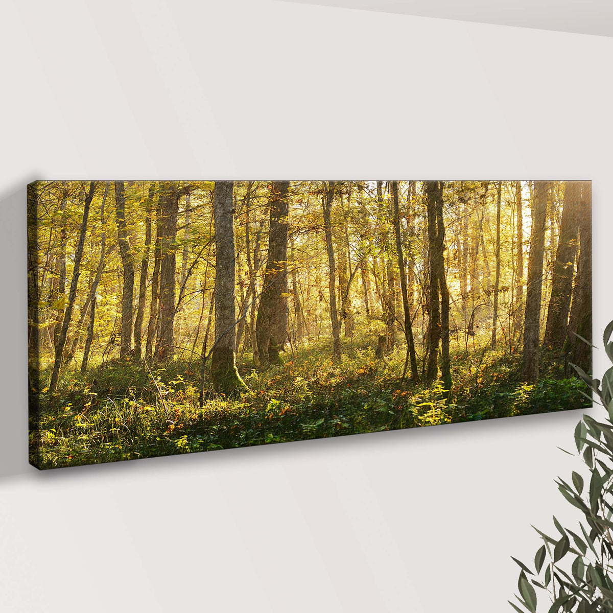 Silent Forest Trees Canvas Wall Art