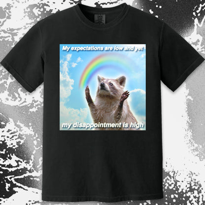 Low Expectations High Disappointment Raccoon T-Shirt, funny meme tee gift (view 14)