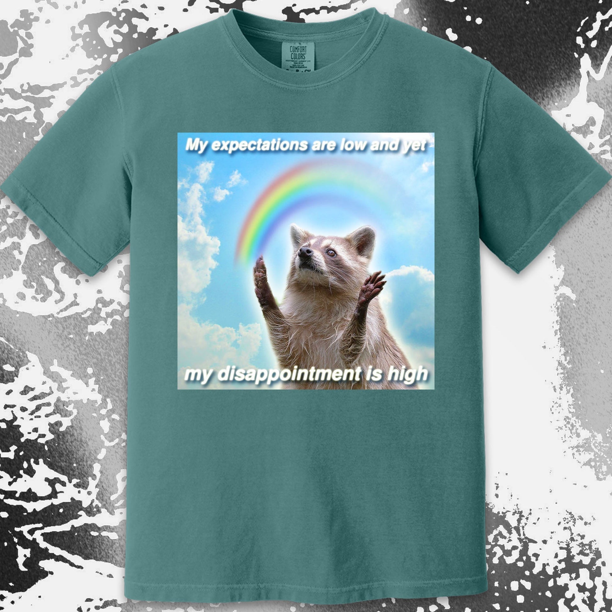 Low Expectations High Disappointment Raccoon T-Shirt, funny meme tee gift (view 15)