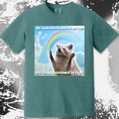 Low Expectations High Disappointment Raccoon T-Shirt, funny meme tee gift (view 15)