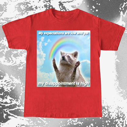 Low Expectations High Disappointment Raccoon T-Shirt, funny meme tee gift (view 17)