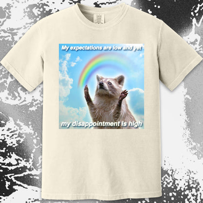 Low Expectations High Disappointment Raccoon T-Shirt, funny meme tee gift (view 5)
