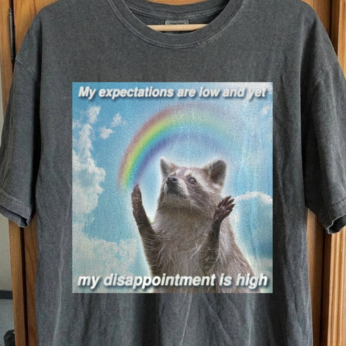 Low Expectations High Disappointment Raccoon T-Shirt, funny meme tee gift