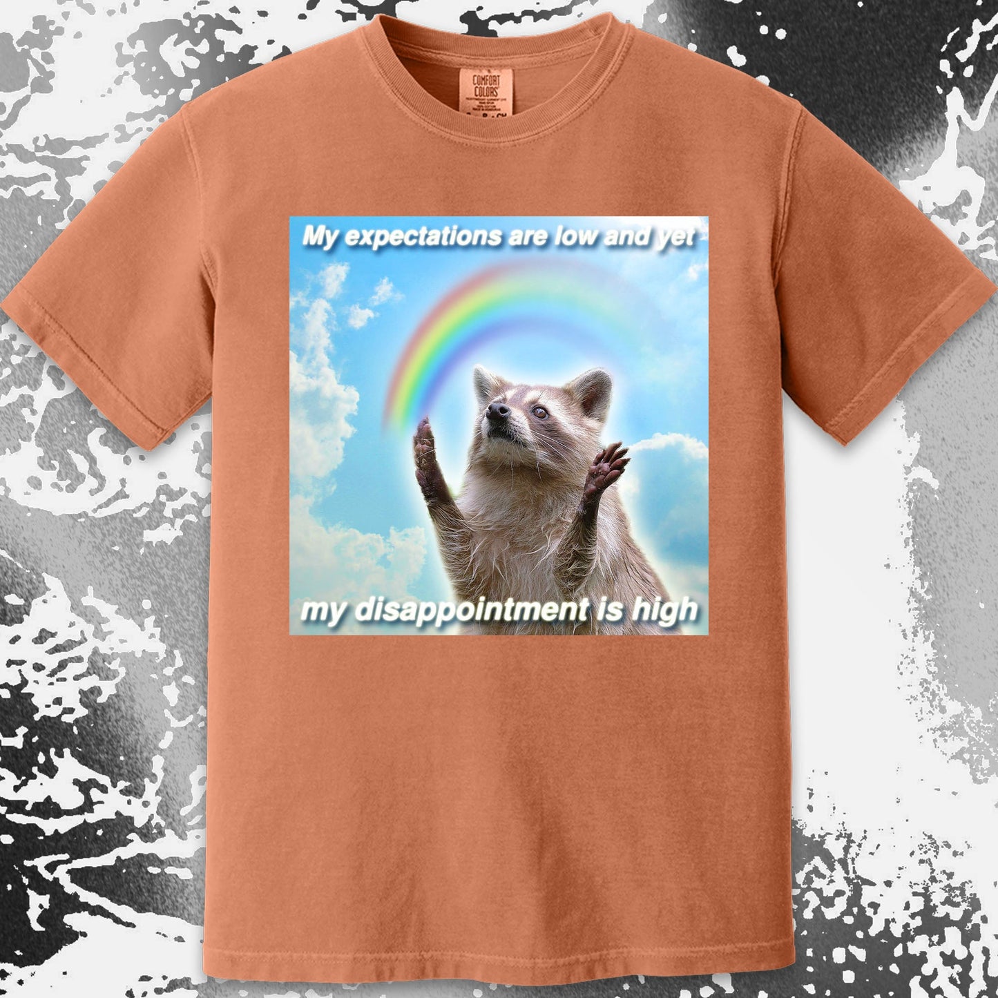 Low Expectations High Disappointment Raccoon T-Shirt, funny meme tee gift (view 13)
