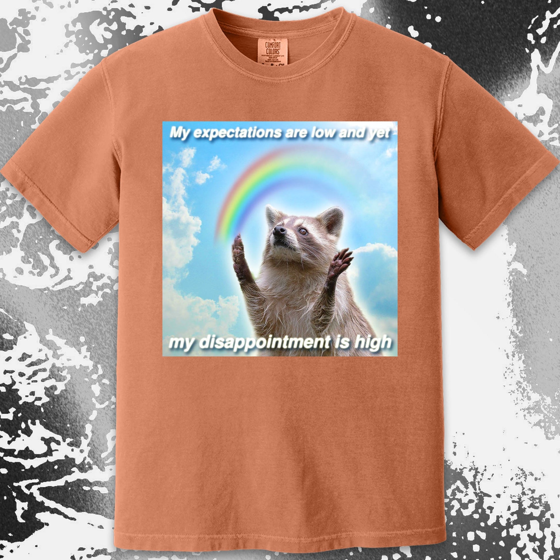 Low Expectations High Disappointment Raccoon T-Shirt, funny meme tee gift (view 13)