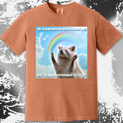 Low Expectations High Disappointment Raccoon T-Shirt, funny meme tee gift (view 13)