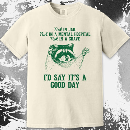 Good Day Raccoon Shirt – Not in Jail Quote Tee, funny meme tee gift (view 5)