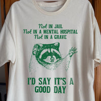 Good Day Raccoon Shirt – Not in Jail Quote Tee, funny meme tee gift