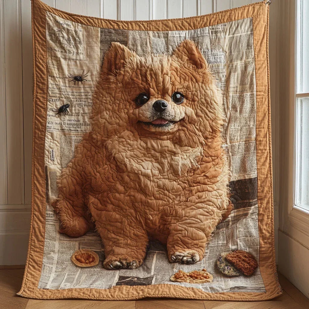 Pomeranian Gaze Quilt Blanket