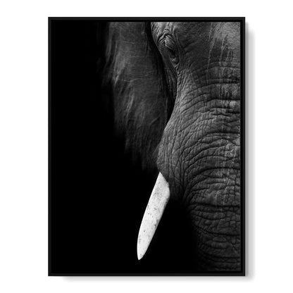 Black and White Elephant Close up Canvas Wall Art