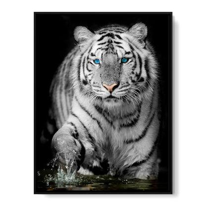 Blue Eyed Snow Tiger Canvas Wall Art