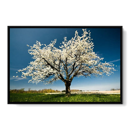 White Tree Canvas Wall Art
