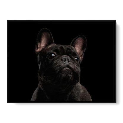Black French Bulldog Canvas Wall Art