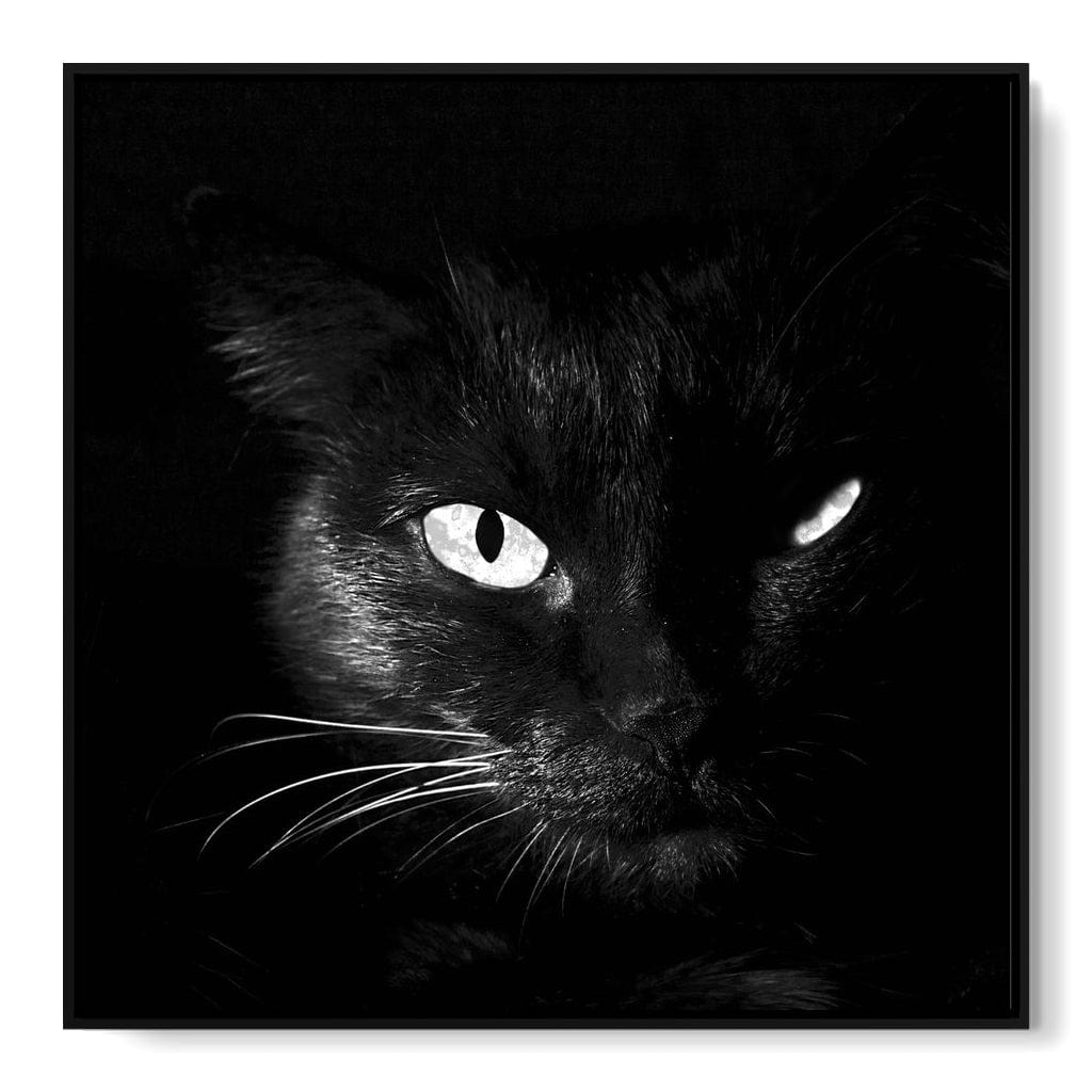 Black and White Cat Canvas Wall Art