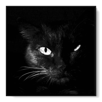 Black and White Cat Canvas Wall Art