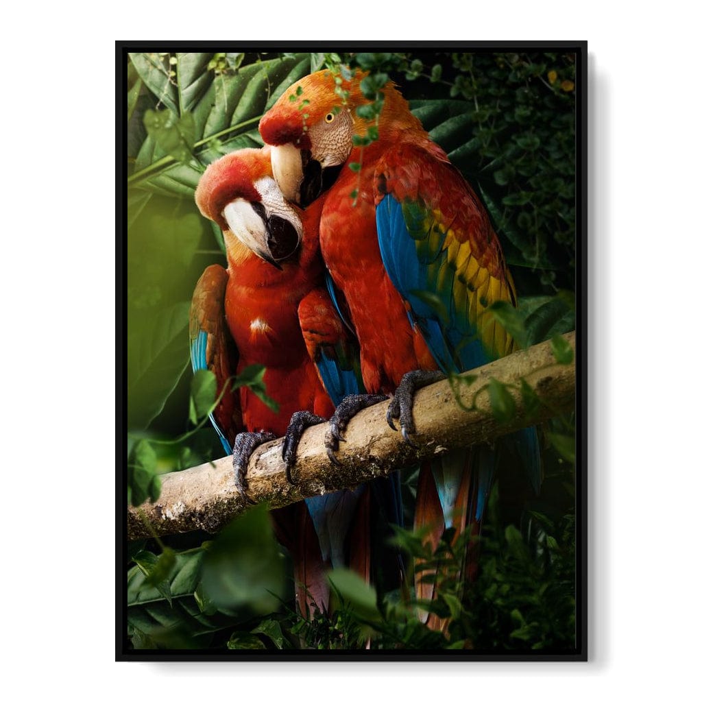 Beautiful Parrots Canvas Wall Art