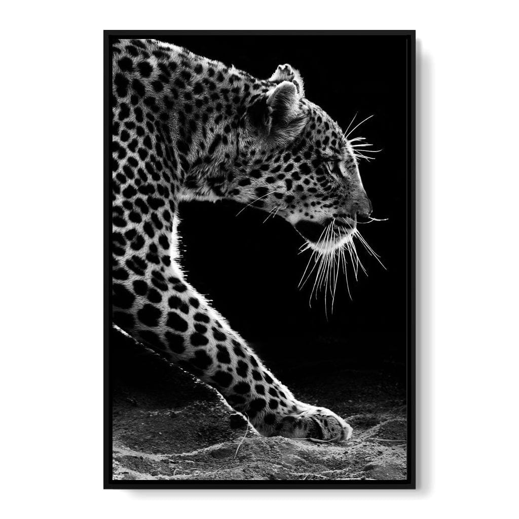 Black and white Leopard Canvas Wall Art