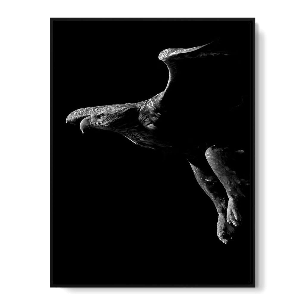 Black and White Eagle Canvas Wall Art