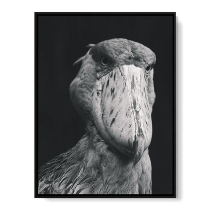 Black and White Shoebill Stork Canvas Wall Art