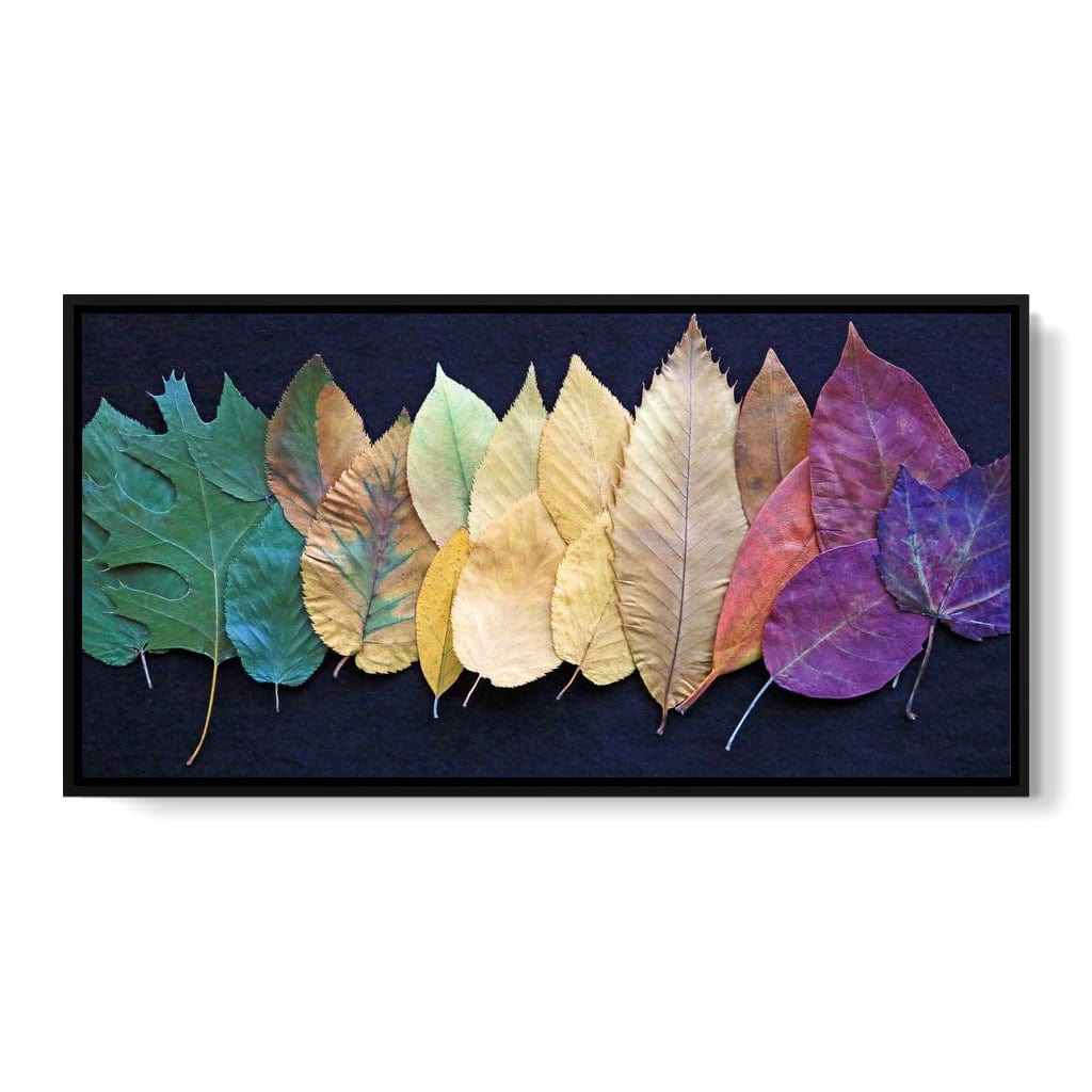 Colorful Leaves Canvas Wall Art