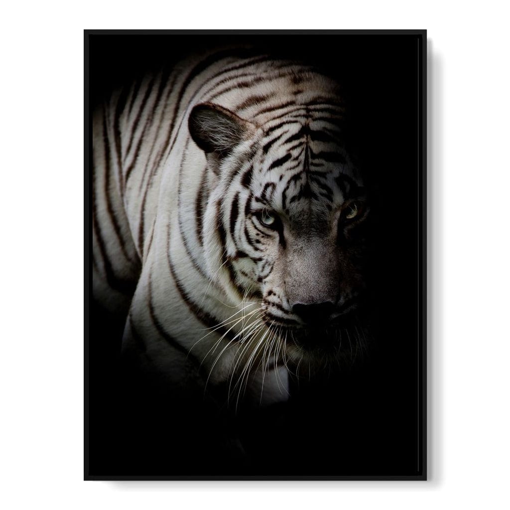 Black and White Tiger Canvas Wall Art