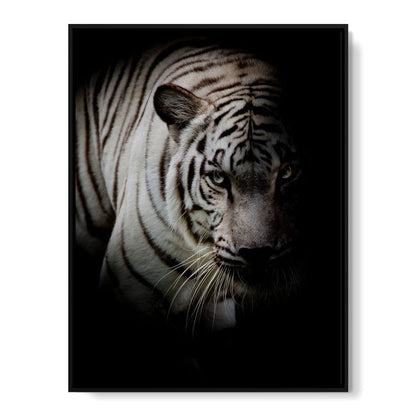 Black and White Tiger Canvas Wall Art