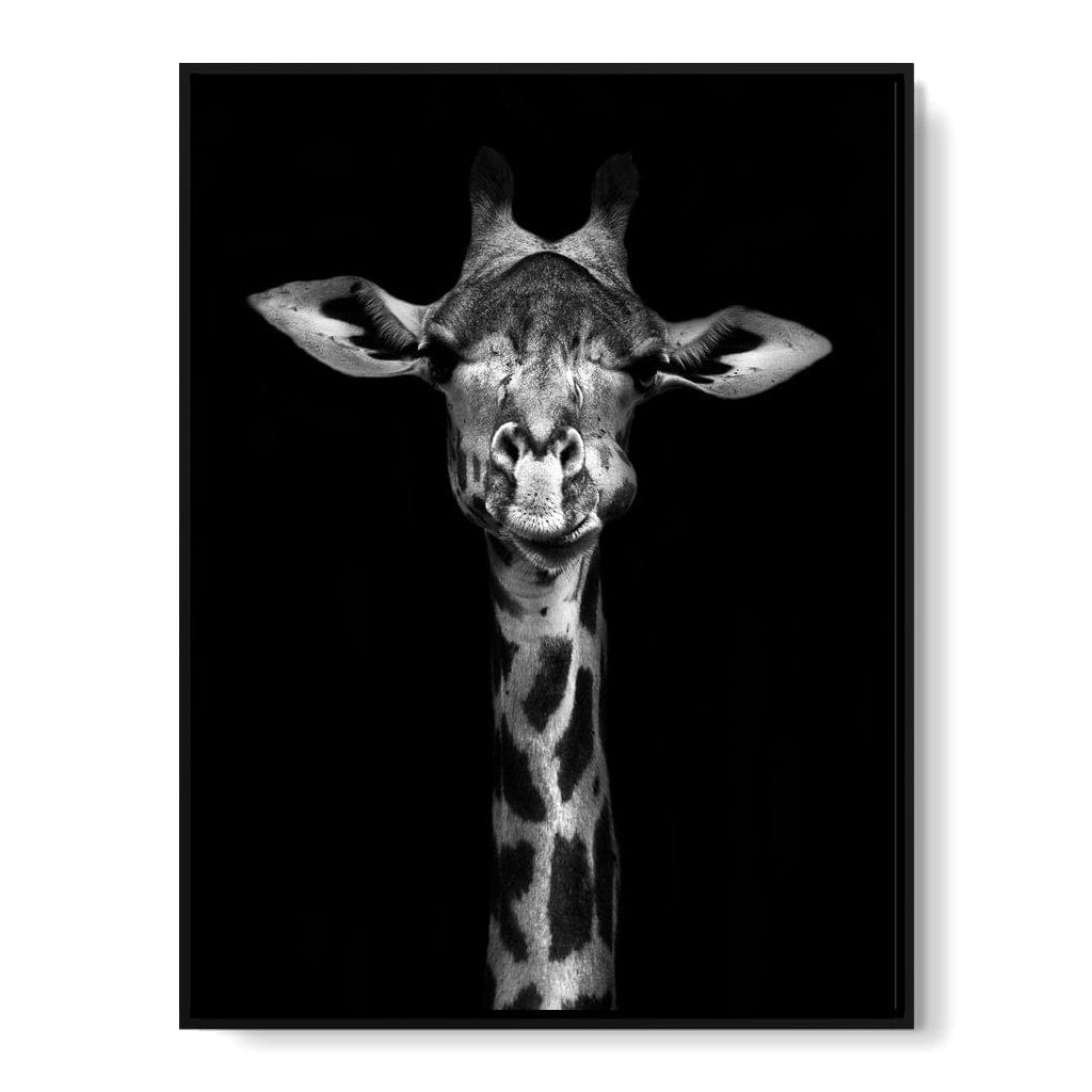 Black and White Giraffe Canvas Wall Art