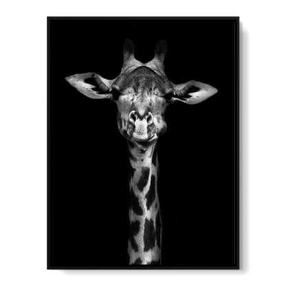 Black and White Giraffe Canvas Wall Art
