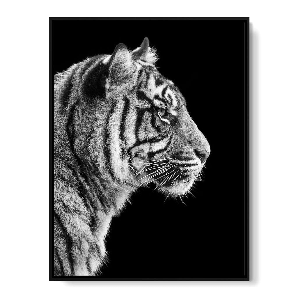 Black and White Sumatran Tiger Canvas Wall Art