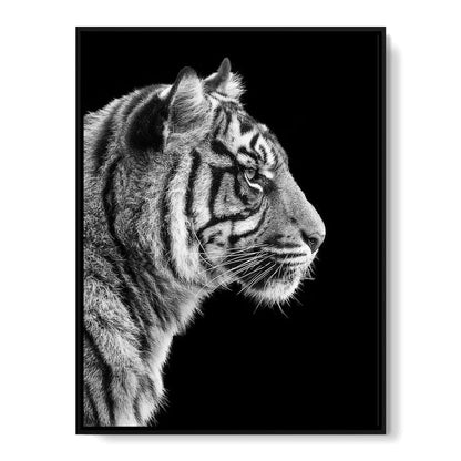 Black and White Sumatran Tiger Canvas Wall Art