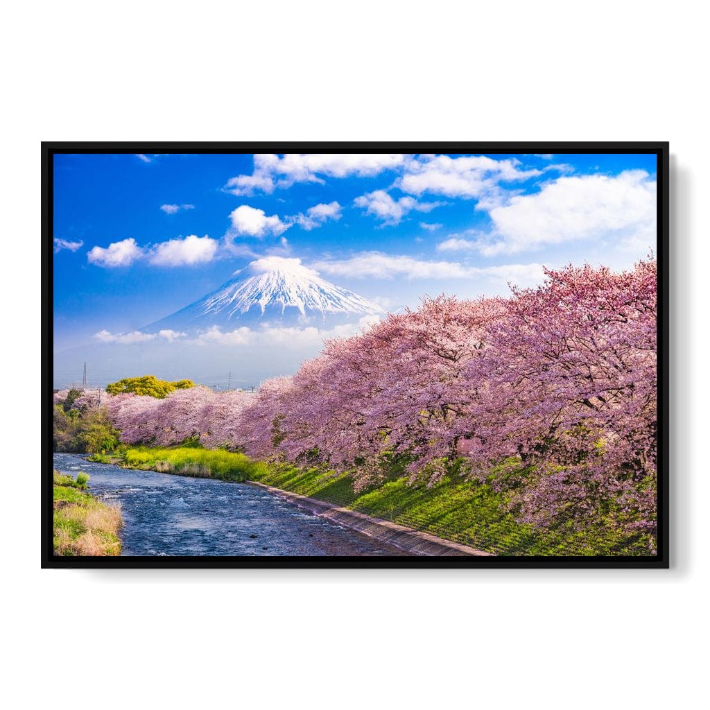 Cherry Blossoms in Japan Canvas Wall Art