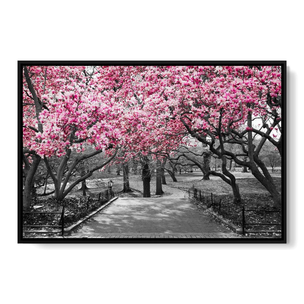 Pink Blossoms in Black and White Canvas Wall Art