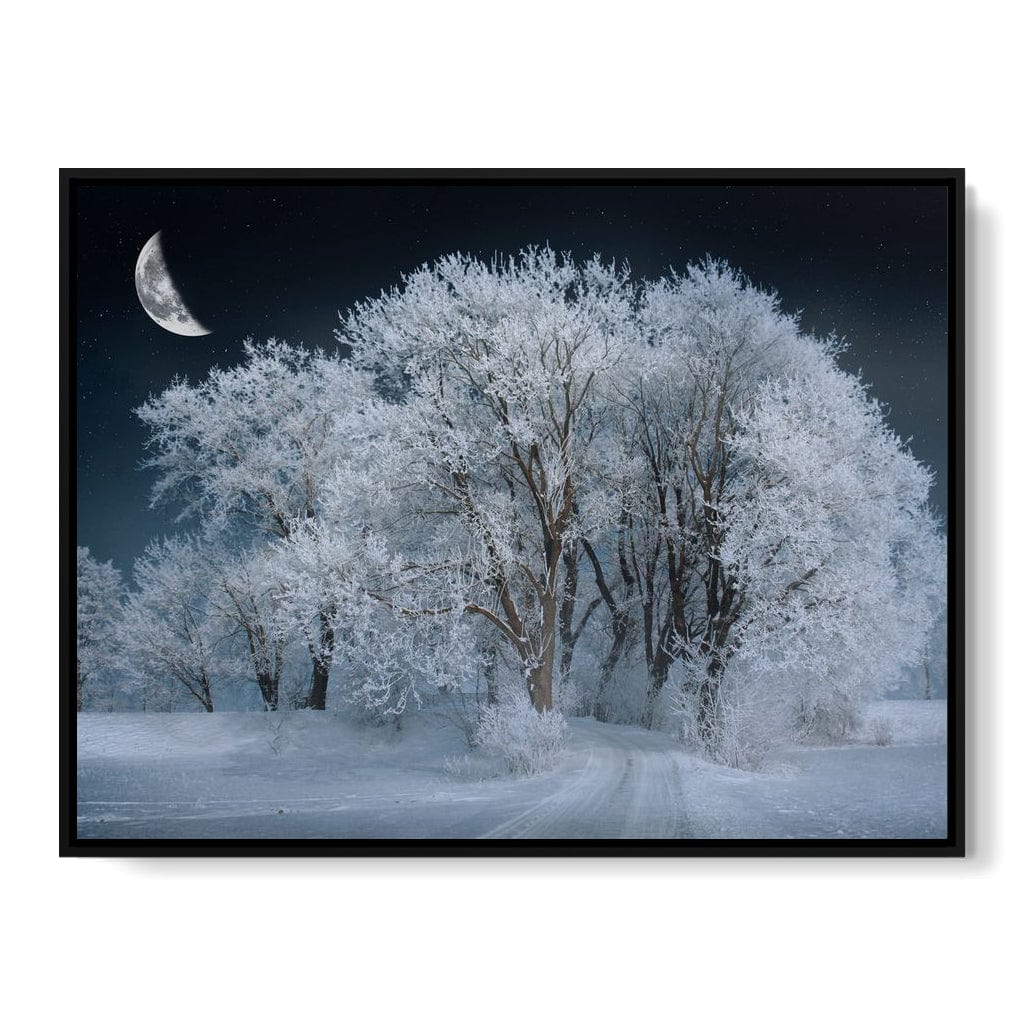 Winter Snow Forest Canvas Wall Art