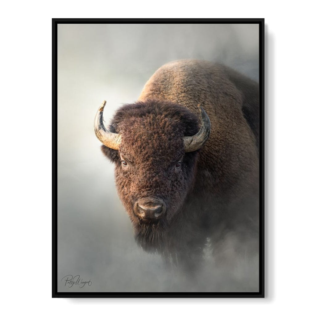 Bison 1 Canvas Wall Art